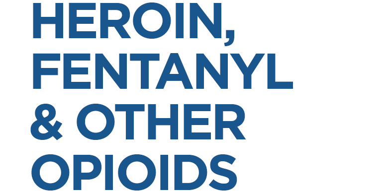 Heroin, Fentanyl, & Other Opioids –A Comprehensive Resource for Families with a Teen or Young Adult Struggling with Opioid Use