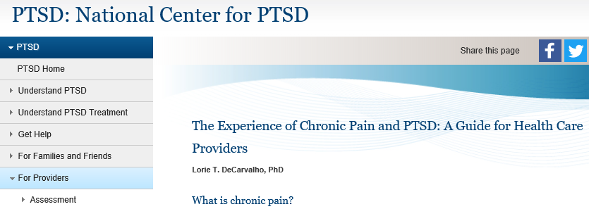 The Experience of Chronic Pain and PTSD: A Guide for Health Care Providers