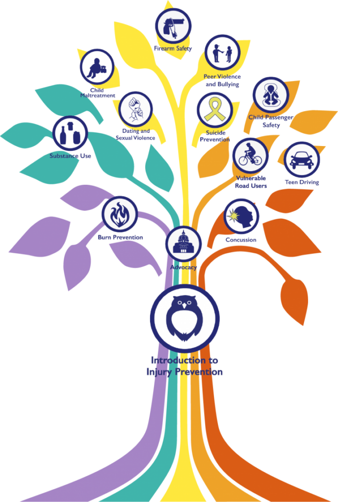 Introduction to Injury Prevention: Burn Prevention, Substance Use, Dating and Sexual Violence, Child Mistreatment, Firearm Safety, Peer Violence and Bullying, Suicide Prevention, Child Passenger Safety, Vulnerable Road Users, Teen Driving, Concussion